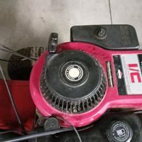 Tagliaerba Briggs & Stratton