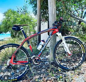 Wilier triestina