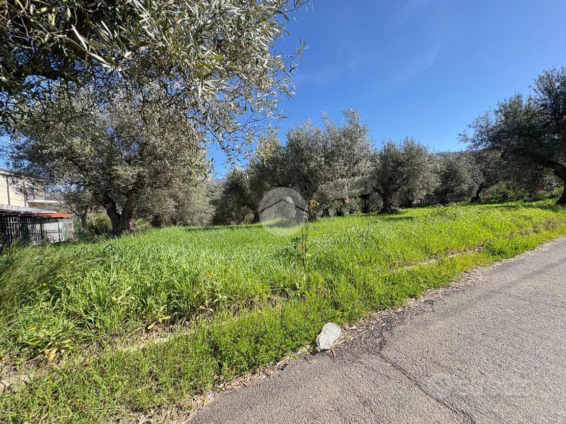 TER. RESIDENZIALE A LUZZI - Vista 4