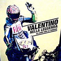 LIBRI, RIVISTE E 26 DVD MOTOGP, ROSSI E AGOSTINI