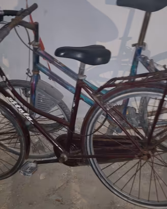 Atala piccaddilly donna   - bicicletta 