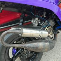 Blocco piaggio malossi 6t