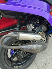 Blocco piaggio malossi 6t