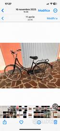 Bici 26