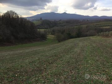 Terreno agricolo assolato