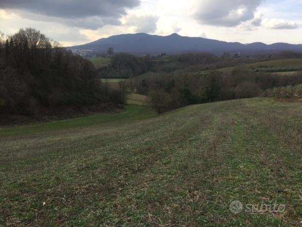 Terreno agricolo assolato