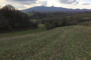 Terreno agricolo assolato