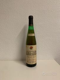 Vino Pinot Grigio Grave del Friuli 1977