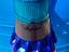 Immagine 6