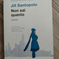 Non sai quanto di Jill Santopolo