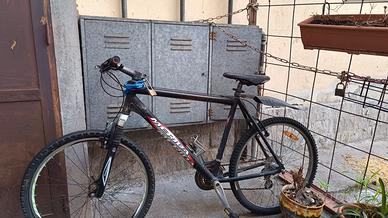 Mountainbike