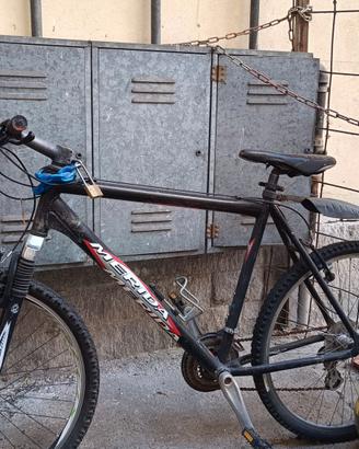 Mountainbike