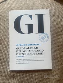 Guida all’uso del vocabolario Greco GI