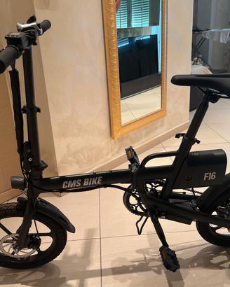 Bicicletta elettrica