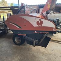 Gallignani 5690 gold