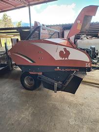 Gallignani 5690 gold