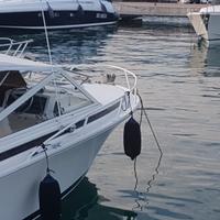 Bertram 28 Moppie