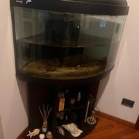 Acquario angolare 120 lt