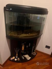 Acquario angolare 120 lt