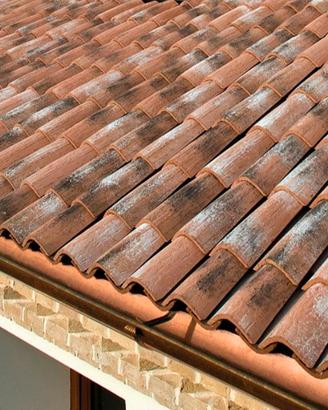 Coppi siciliani antichizzati 