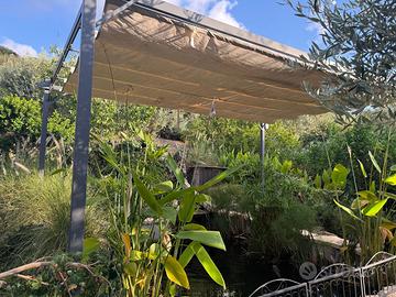 Gazebo pergola
