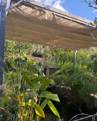 Gazebo pergola