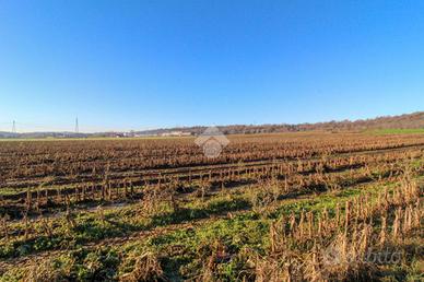 TERRENO A LONATO DEL GARDA