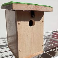 casetta nido per cinciallegre 