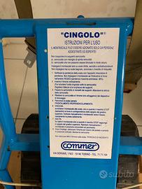 Disabili
