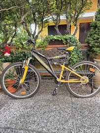 Bicicletta