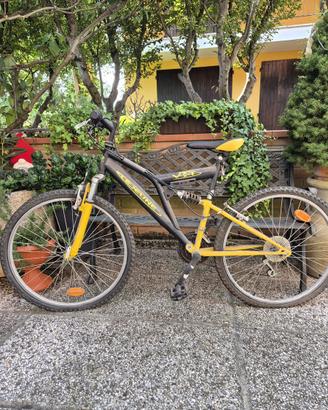 Bicicletta