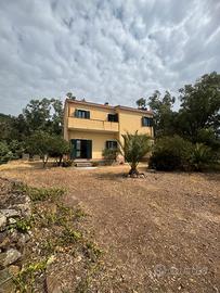 Casa indipendente con giardino su quattro lati