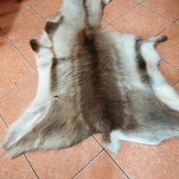 Tappeto di pelliccia 