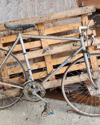 bici da corsa da uomo