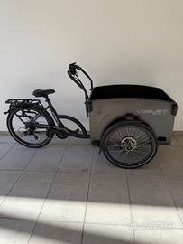 Bici Cargo Elettrica