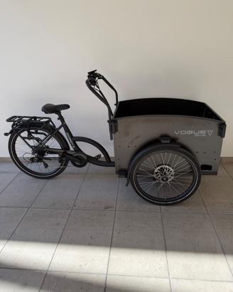 Bici Cargo Elettrica