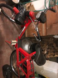 Bicicletta a motore velosolex