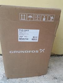 Pompa in linea Grundos TP 65-120/2 A-F-A BQQE- GW1