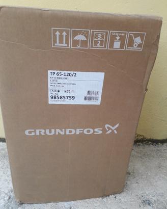 Pompa in linea Grundos TP 65-120/2 A-F-A BQQE- GW1