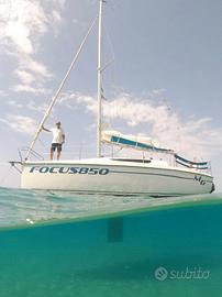 Focus 850 ce-b by nauti