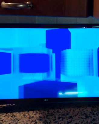 TV LG modello 24MT49VF