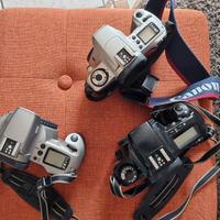 macchine fotografiche reflex rullino canon eos