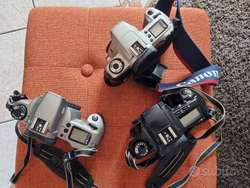 macchine fotografiche reflex rullino canon eos