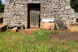 Trullo saraceno con uliveto