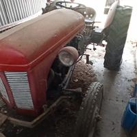 Trattore Massey Ferguson TEF 20