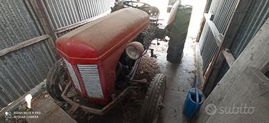 Trattore Massey Ferguson TEF 20
