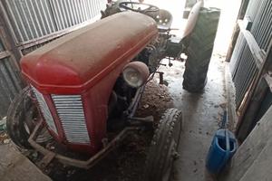 Trattore Massey Ferguson TEF 20
