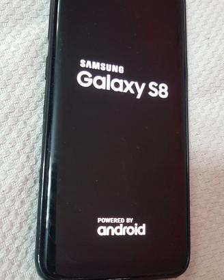 Samsung Galaxy S 8 + cover.