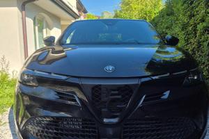 Alfa junior speciale