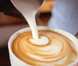 Bar Tavola Calda Primavalle